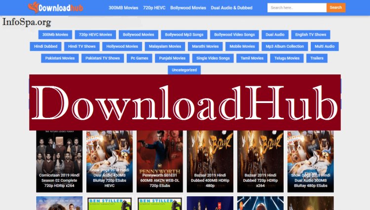 DownloadHub 2022: 750MB Dual Audio Bollywood Movies, Hollywood movies  Download Website