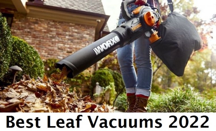 Blowers and Sweepers 2022: Best Leaf Vacuums Options of 2022